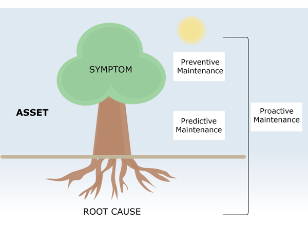 image showing the a tree with roots 